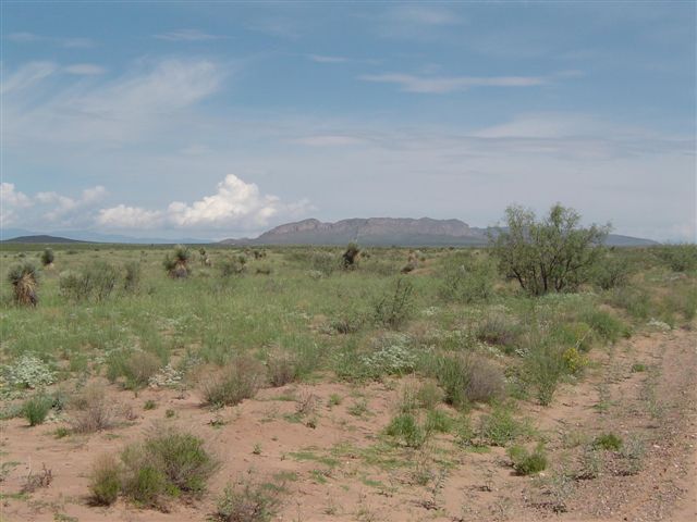 Engle New Mexico, Elelphant Butte